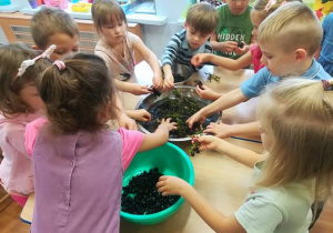 Dzieci obrywają winogrona z gałązek.